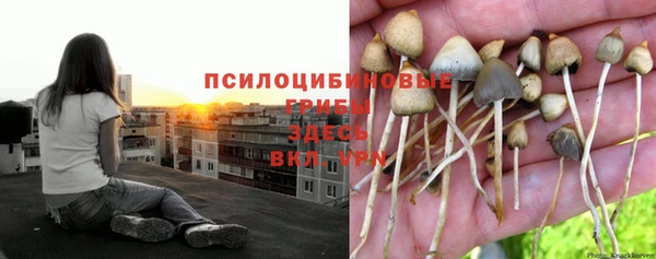 метамфетамин Лагань