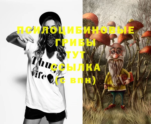 метамфетамин Лагань