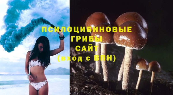 эйфоретик Ладушкин