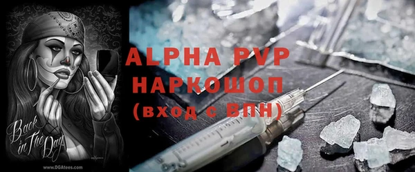 эйфоретик Ладушкин