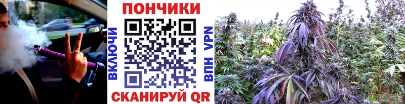 Канабис план  купить   blacksprut как войти  Горячеводский 